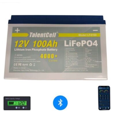 SMART Talent Cell Rechargeable 12V 100Ah LFP Deep Cycle Batter pack Model LF 4160